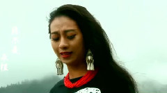 华语群星 - 你不曾来过