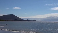 I Will Always Love You