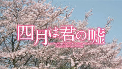 映画 <四月は君の嘘> 特報