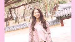 德寿宫石墙路的春天