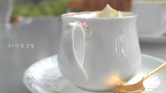 苍姬lapis,RANA - 正因为温暖