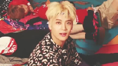 王嘉尔你偷走了我的心