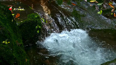 Bandari,音乐短片,轻音乐,风景 - The Sounds Of Silence 上风上水彭州