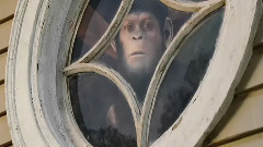 电影<猩球崛起>国际版预告片1