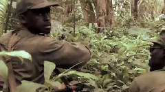 电影<猩球崛起>电视宣传片8