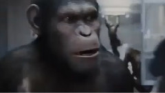 电影<猩球崛起>精彩片段5