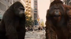 电影<猩球崛起>精彩片段6