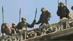 电影<猩球崛起>中文版预告片5