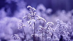 Giovanni Marradi - GIOVANNI MARRADI - REMEMBER WHEN