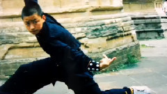 王宝强 - 网曝王宝强少林寺习武照 小小人表演醉拳鹰抓功