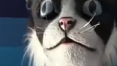 Владелец кошек не на шутку напугал своих питомцев, надев на голову кошачью маску Источник