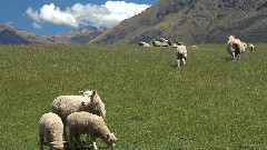 AX100 4 K Test 1 Consumer Cameras