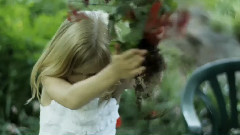 4 k resolution test short Life in the Garden