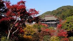 KYOTO JAPAN 京都の紅葉の名所