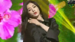 Cool Hot Sweet Love & 7月7日 & 采访