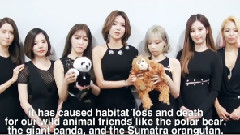 Earth Hour(地球一小时) 活动参与鼓励影像