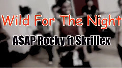 WILD FOR THE NIGHT