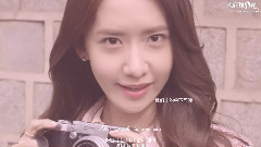 德寿宫石墙路的春天