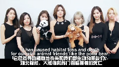 地球一小时宣传视频