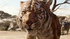 电影<奇幻森林>电视宣传片Trust