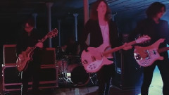 Blossoms - Charlemagne