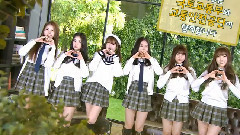 GFriend - 交通安全颂