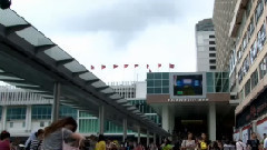 正月十五,音乐短片 - 不是因为寂寞才想你