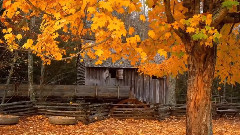 Bellos Paisajes (Era - Mother, Gregorian)
