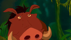 动画森林里那些事儿 在森林中遭遇