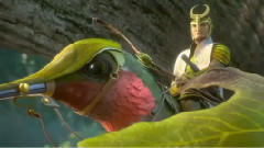 动画森林里那些事儿 在森林中遭遇