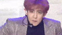 EXODUS & Call Me Baby & Love Me Right