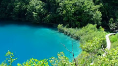 克罗地亚森林公园