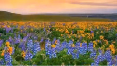 Първа пролет с музика!