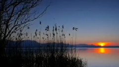 金枝欲孽.咏叹调