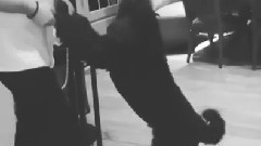 Ariana Grande - Ins更新:Ophelia Shot Down