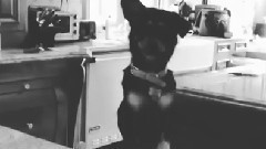 Ariana Grande - Ins更新:No Caption