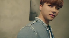 金振焕(iKON),iKON - LG & iKON 金振焕