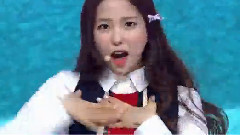 Beagle Beagle & 变得漂亮