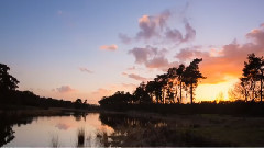 正月十五,音乐短片 - 正月十五 拿出你的情抓住你的爱