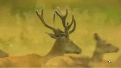 Есенно настроение