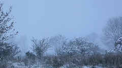 Vivaldi Four Seasons Winter