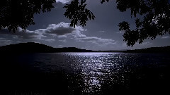 Ludwig Van Beethoven's Moonlight Sonata