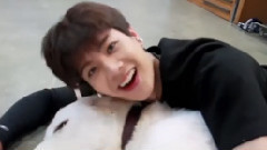 2016 Jackson生日贺频