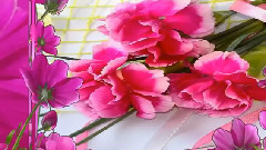 Една БългарскаРоза