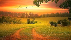 Пътят към Слънцето!