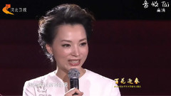 二十年后再相会