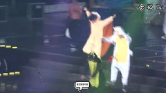 超可爱的小飞鼠