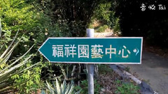 新埔仙人掌园艺中心世界各品种仙人掌