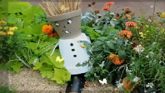 Summer, scarecrow and friends