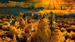 с поезията на Таня Мезева